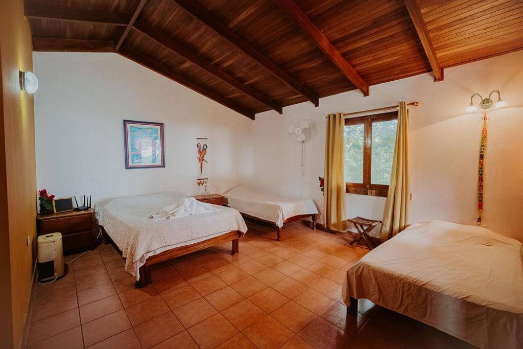Lodge Mirador - Great Swimming Pool - Kitchen - Bbq - Netflix Tajo Alto Dış mekan fotoğraf