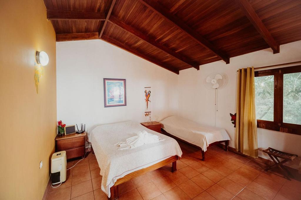 Lodge Mirador - Great Swimming Pool - Kitchen - Bbq - Netflix Tajo Alto Dış mekan fotoğraf
