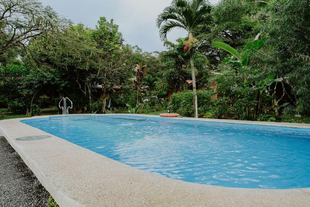 Lodge Mirador - Great Swimming Pool - Kitchen - Bbq - Netflix Tajo Alto Dış mekan fotoğraf