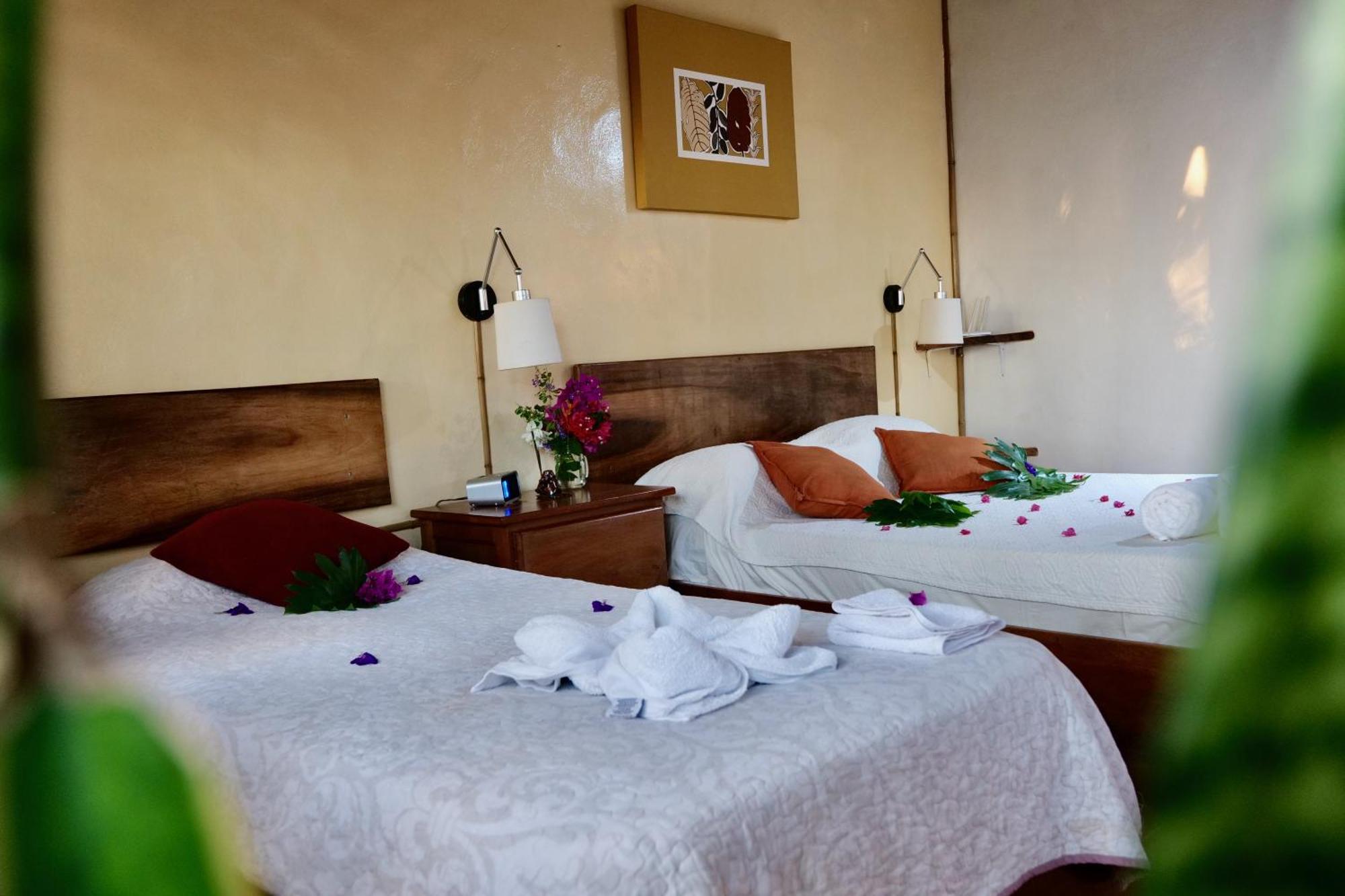 Lodge Mirador - Great Swimming Pool - Kitchen - Bbq - Netflix Tajo Alto Dış mekan fotoğraf